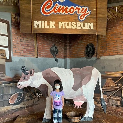 museum susu cimory dairyland prigen